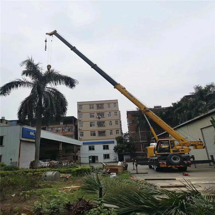 扬中汽车吊出租多少钱？全面解析与市场行情